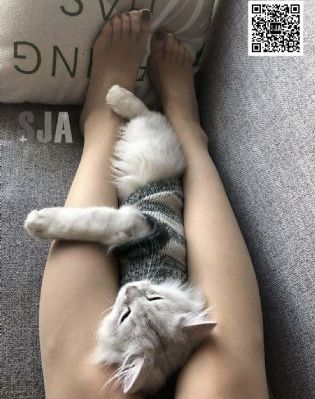 少女免费观看第6集视频_高清在线观看完整版